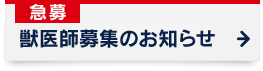 btŴm点
